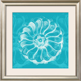 Chromatic Rosette III Prints by Stefania Ferri