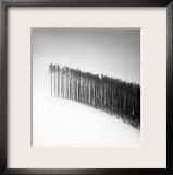 Forest Edge, Hokuto, Hokkaido, Japan, 2004 Print by Michael Kenna