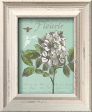Fleurir Nouveau Print by Devon Ross