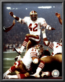 Ronnie Lott Poster