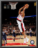 Brandon Roy Prints