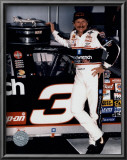 Dale Earnhardt Portrait In Daytona Victory Lane Posters
