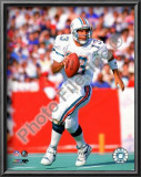 Dan Marino Print