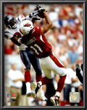 Larry Fitzgerald Posters