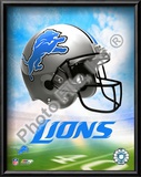 2009 Detroit Lions Team Logo Art