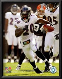 Ed Reed Posters