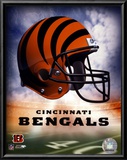 Bengals Helmet Logo ('04) Prints