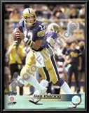 Dan Marino Posters