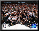 Anaheim Ducks Posters