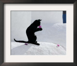Cat and Flower Posters by Hubert & Klein 