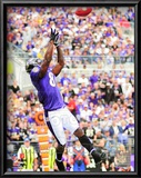 Anquan Boldin 2010 Action Posters