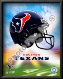 2009 Houston Texans  Logo Art