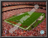 Fed Ex Field Prints