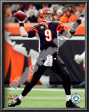 Carson Palmer Prints