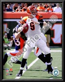 Carson Palmer 2009 Prints