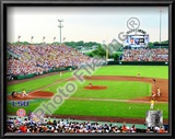 Rosenblatt Stadium 2009 College World Series Champs Prints