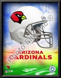 2009 Arizona Cardinals Team Logo Prints