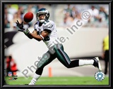 DeSean Jackson 2009 Prints