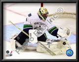 Roberto Luongo 2010-11 Action Art