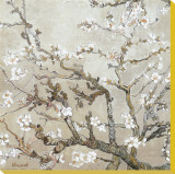 Almond Branches in Bloom, San Remy, c.1890 (tan) Stretched Canvas Print by Vincent van Gogh