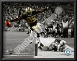 Reggie Bush Posters