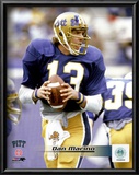 Dan Marino Posters