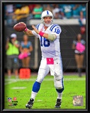 Peyton Manning 2010 Action Prints