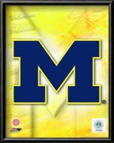 2009 University of Michigan Team Logo Poster