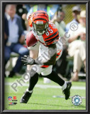 Chad Ochocinco 2009 Prints