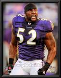 Ray Lewis 2010 Action Prints