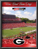 University of Georgia-Stadium Shot Poster University of Georgia-Stadium Shot Poster