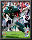 Ronnie Brown Poster