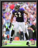 Ray Lewis 2010 Action Posters