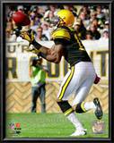 Mike Wallace 2010 Action Posters