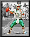 Dan Marino Posters