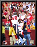 Andre Johnson 2010 Action Posters
