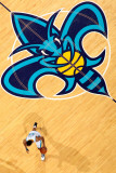 Detroit Pistons v New Orleans Hornets: Willie Green Photographic Print by Chris 