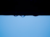 Raindrops Photographie par Jodi Cobb