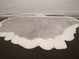 Water and Foam Washed Up on Freshwater Beach Photographic Print by Phil Schermeister