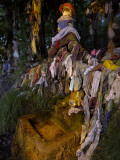 An Ancient Celtic Holy Well with Rags Dipped and Hung for Good Luck Photographic Print by Jim Richardson