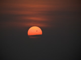 A Bird Silhouetted Against the Sun at Sunset Photographie par Jodi Cobb