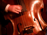 Close View of a Man Playing a Bass Photographic Print by Todd Gipstein
