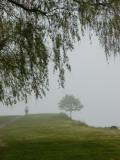 A Cyclist Pedals Through Fog Enveloping a Connecticut Shoreline Photographic Print by Todd Gipstein