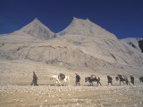 Pilgrims Circumambulating Mt Kailas Photographic Print by Alison Wright