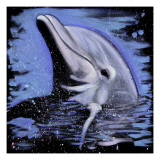 Dauphin reproduction procédé giclée