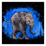 Baby Elephant Giclee Print