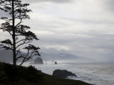 Silhouette of a Tree with the Rocky Oregon Coast in the Background Impressão fotográfica por Michael Hanson