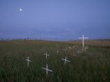 White Crosses Stand Out in Early Morning at St Boniface Cemetery Photographic Print by Phil Schermeister