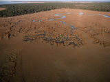 An Aerial View of Cumberland Island, Georgia Photographie par Jodi Cobb