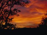 Silhouetted Tree and Blazing Sky at Sunset over Blue Ridge Mountains Photographic Print by Raymond Gehman